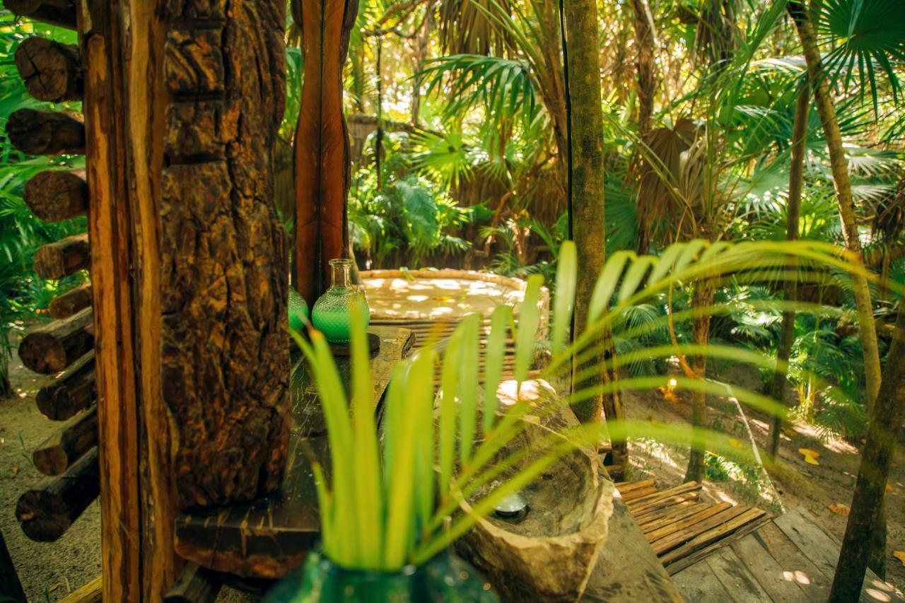 Ikal Tulum Hotel Exterior foto The interior of the rainforest