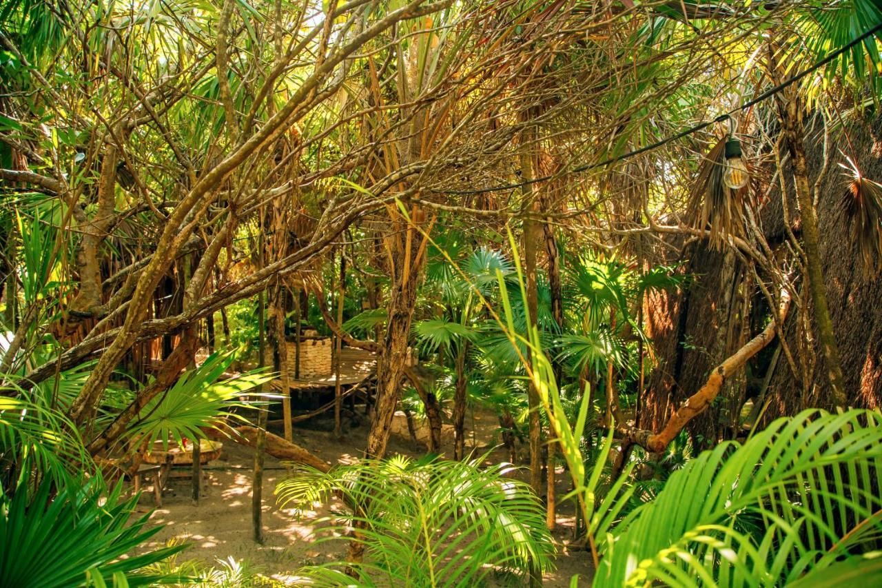 Ikal Tulum Hotel Exterior foto Jungle